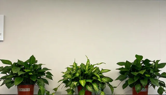 技术成果转化中的性能与适用条件比较